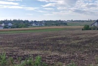 Teren de vanzare extravilan - 4