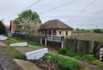Casă cu 3 camere în Rogova - 4
