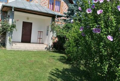 Casa si teren vanzare Stefanesti Arges( Golesti) sau schimb cu apartament situat in Bucure?ti - 2