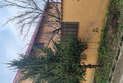 Casă cu 5 camere în Central - 3