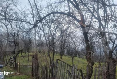 Teren de 3781 mp, în Izvoarele - 4