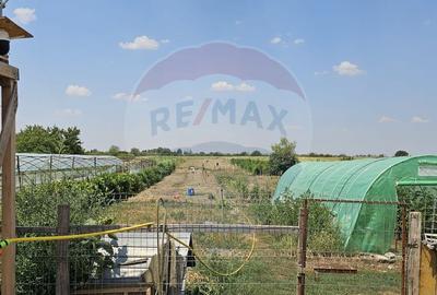 Casa 100 mp utili Adunatii Copaceni - 3