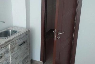 Apartament cu 2 camere semidecomandat în Pantelimon - 4