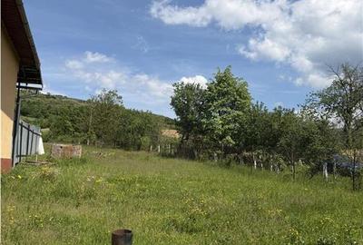 Teren intravilan de 1200 mp, în Roșia - 7
