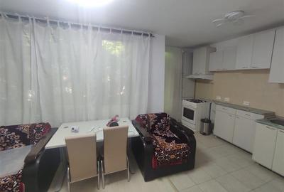 Inchiriere apartament 2 camere in vila, pet friendly Inchiriere apartament 2 camere in vila, pet friendly - 8