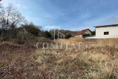 Teren autorizabil Făget - 3