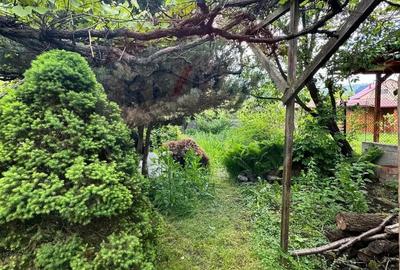 Casa / Vila cu 3 camere de vanzare in zona Vest - 11