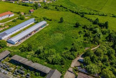 Spațiu comercial, în Teliu - 5