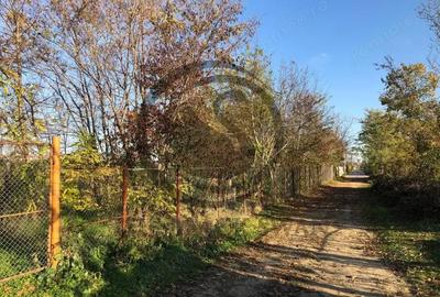 Teren de 12650 mp, în Ghirdoveni - 12