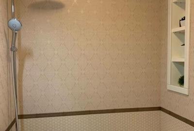 Apartament cu 2 camere semidecomandat în Bălcescu - 6