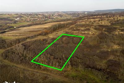 Teren de 4278 mp, în Paleu - 3
