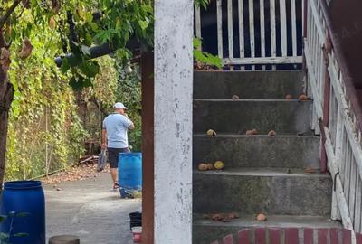Casă cu 5 camere cu Teren 120 Mp în Teiu - 1