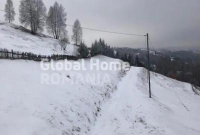 Teren de 725 mp, în Moieciu - 5
