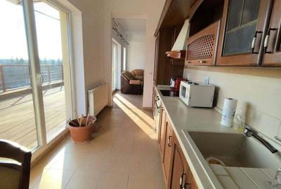 Apartament spa?ios in inima Timi?oarei 4 camere, 2 bai & terasa 40 mp! - 17