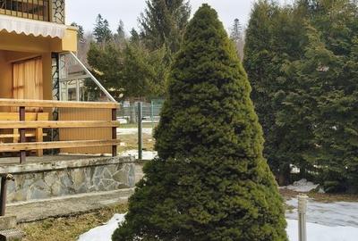 Casă cu 6 camere cu Teren 728 Mp în Piatra Arsă - 15