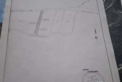 Teren de 2800 mp, în Târgușor