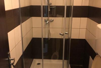 Garsonieră decomandată în Costin Georgian - 9