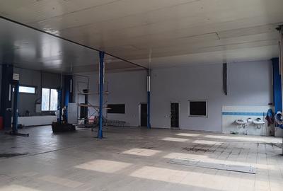 Teren de 5000 mp, în Titan - 6