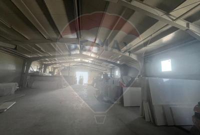 Spațiu industrial, de 640 mp, în Jorăști - 9