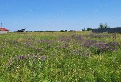 Sacalaz, teren suprafa?a 718 mp, front stradal 18 metri, pre? 89 euro mp - 2