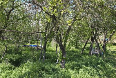 Teren agricol intravilan de 2050 mp, în Valea Măcrișului - 10