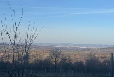 Spațiu comercial, în Rășinari - 5