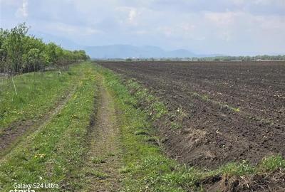 Teren agricol extravilan de 22100 mp, în Bod