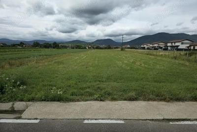 Teren 6630 MP- Zona Rezidentiala - Sat Sasar - Maramures - 2