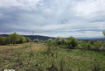 Teren de 6704 mp, în Hărău - 13