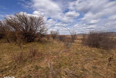 Spațiu comercial, în Sigmir - 1