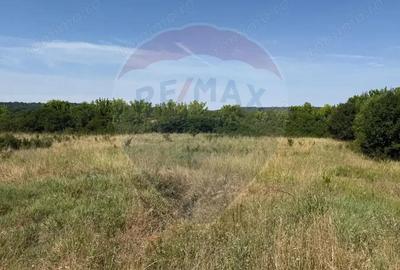 Teren Intravilan Craiova 2500 mp Strada Popoveni - 2