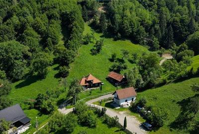 FILM! Casa cu farmec autentic armonizata de 4.300 mp teren,Bran,Simon,Brasov - 15