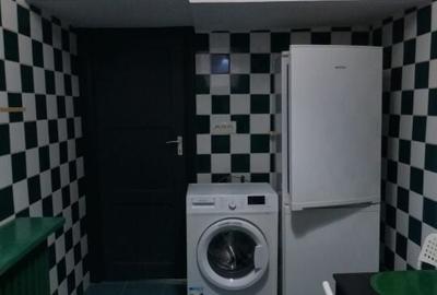 Dristor - Dudesti 3 Camere Casa La Curte - 15