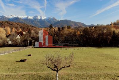 Teren Construcții intravilan de 8206 mp, în Moieciu - 4