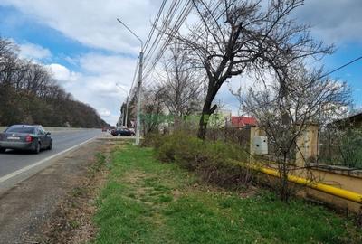 Vanzare lot de 550 mp - Calea Bucuresti (DN1) Saftica - 6