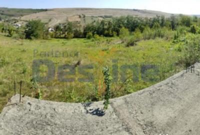 Casă cu 4 camere cu Teren 6400 Mp în Hărpășești - 3