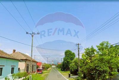 Teren de 5018 mp, în Variașu Mare - 9