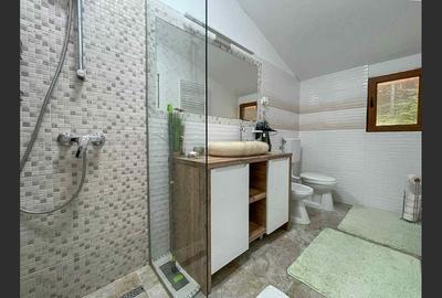 Casa de vacanta superba in Crivaia - 18