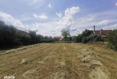Casă cu 3 camere cu Teren 2000 Mp în Central - 4