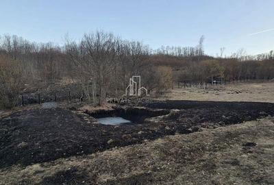 Teren de vanzare, 20.000Mp , Comuna Danes, drumul Crisului - 6