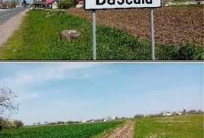Spațiu comercial, în Dascălu - 3