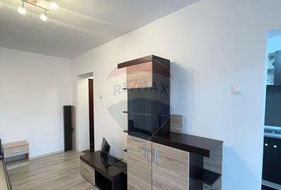 Apartament cu 1 camera de inchiriat in Micalaca - 1