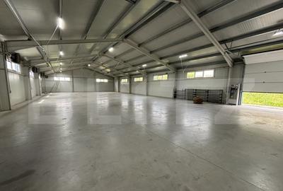 Hale de inchiriat - 2