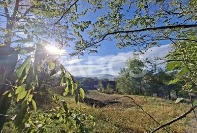 Casa cu 6 camere 720 mp teren in sat Bungard din judetul Sibiu Casa cu 6 camere 720 mp teren in sat Bungard din judetul Sibiu - 29
