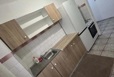 Apartament cu 3 camere semidecomandat în Valea Rosie - 4