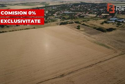 COMISION 0% Teren de vanzare intravilan de 24.700 mp - Padureni - 7