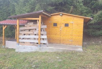 Casă cu Teren 350 Mp în Lepșa - 8