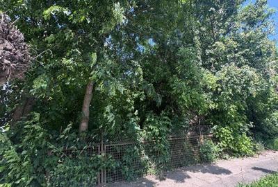 Teren de 4200 mp, în Central