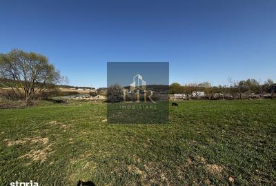 Teren de 1500 mp, în Schitu Duca - 7