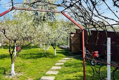 Casă cu Teren 1230 Mp în Central - 1